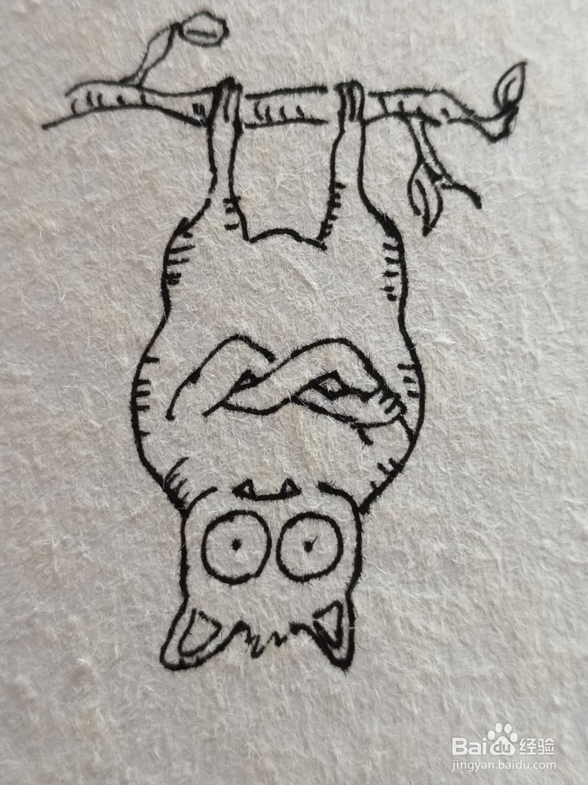 怎么画倒立的蝙蝠简笔画