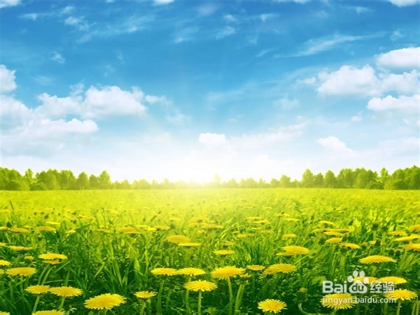 怎样赶走失恋的负面情绪