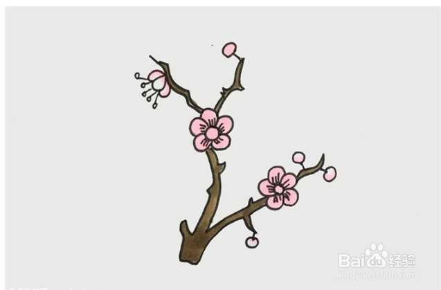 伴儿成长简笔画系列-怎么画梅花