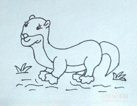 简笔画:怎么画水獭