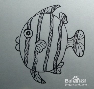 亲子简笔画，热带鱼简笔画法