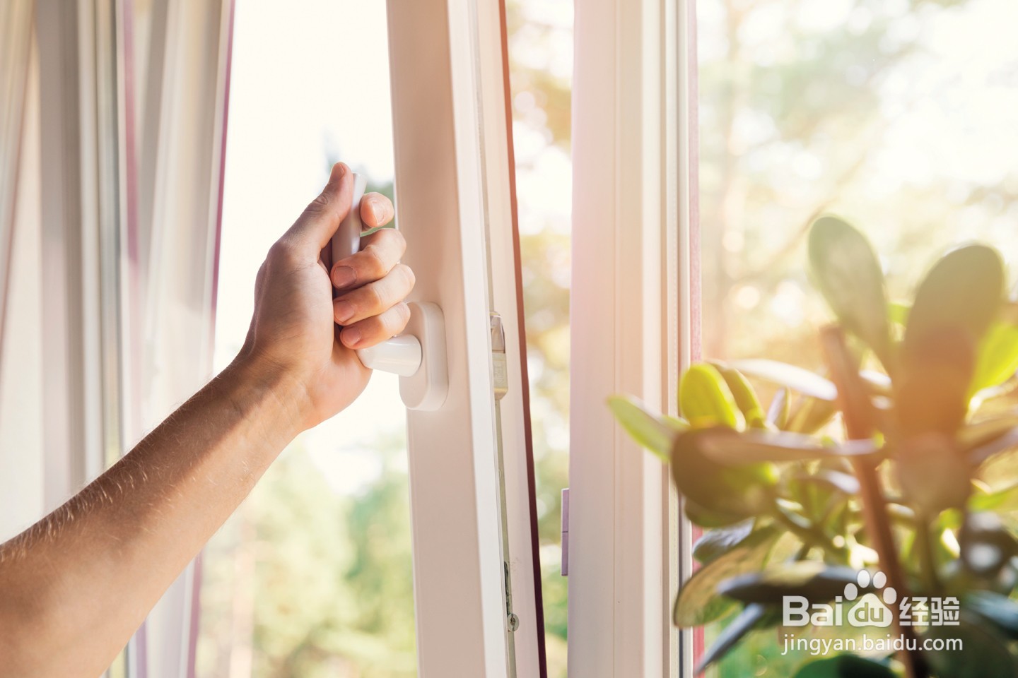 体温针打碎了应该怎么办