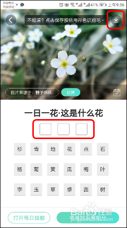 使用识花APP【形色】识别各种植物、花草、果蔬