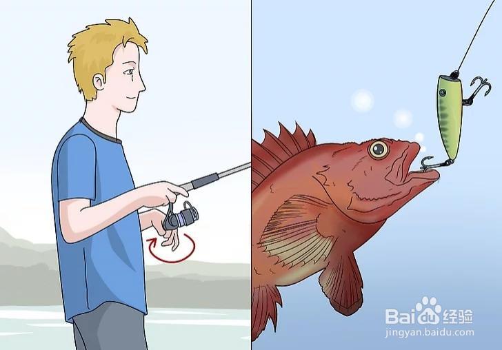 怎样才能钓到鱼呢