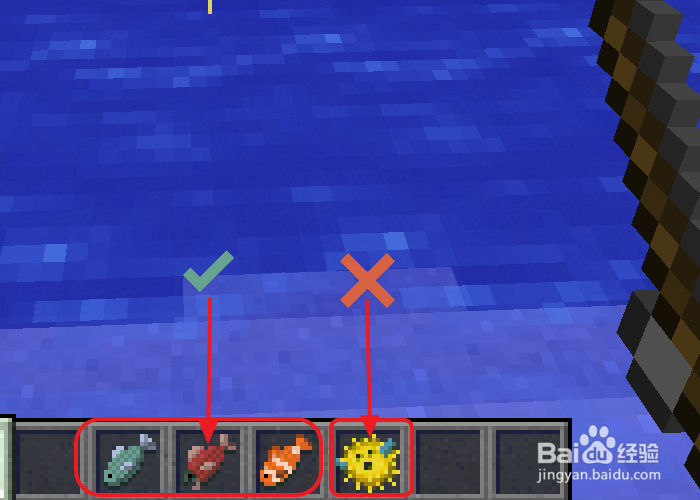 我的世界猫吃什么