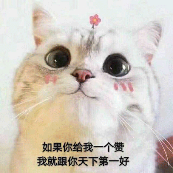 python创建函数与调用函数