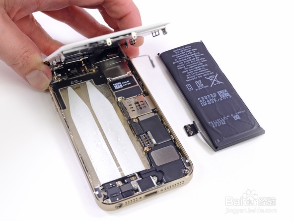 iPhone 5s拆解图