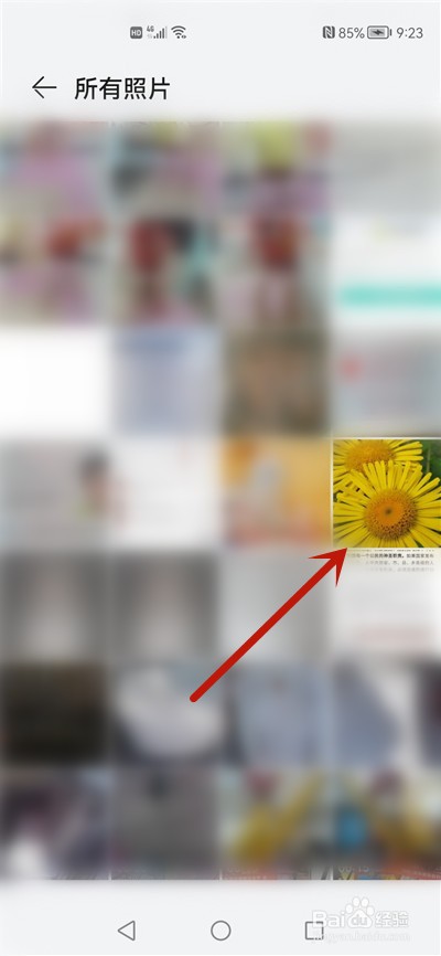 鸿蒙桌面图片怎么设置