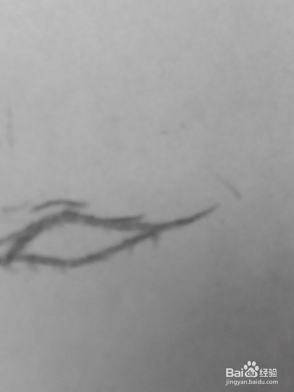 原创动漫人物的眼睛19