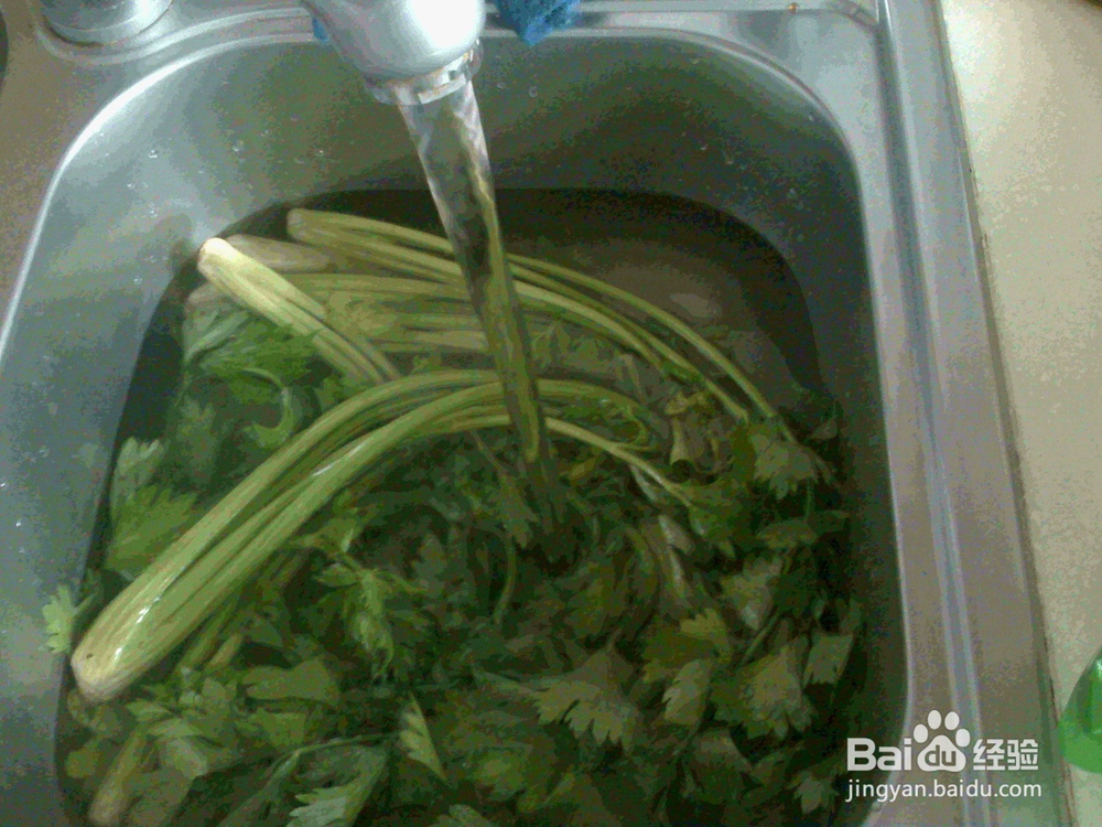 怎样做好炒旱芹菜地瓜粉的备料