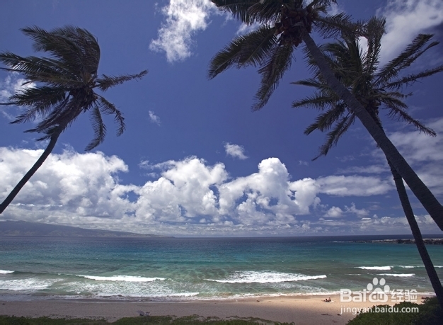 Scott Mead：海滩摄影