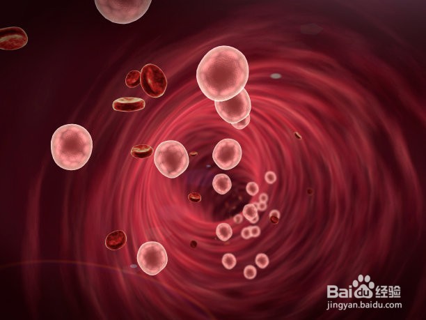 国际货运保险的基本原则有哪些