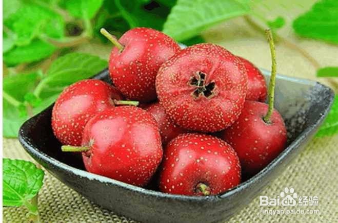 糖尿病人能吃的水果有哪些