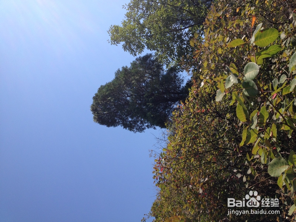 三门峡桃花谷,自驾游有你好看!