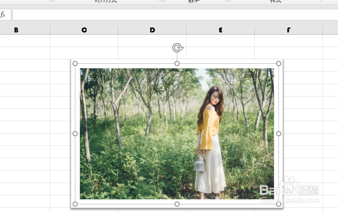 EXCEL中如何使插入的图片成比例缩放