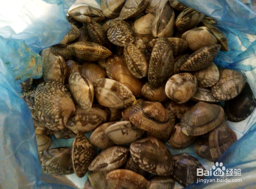 美食#花甲如何进行清洗