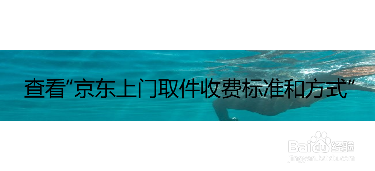 查看“京东上门取件收费标准和方式”
