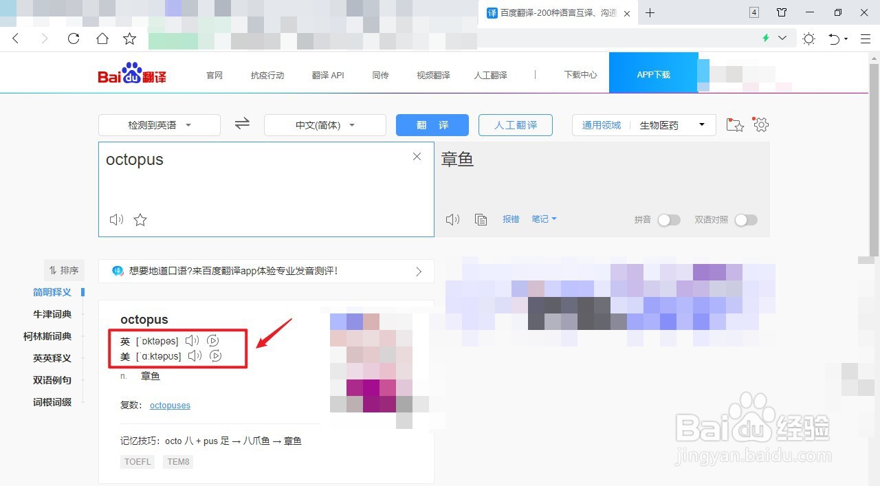 octopus怎么发音