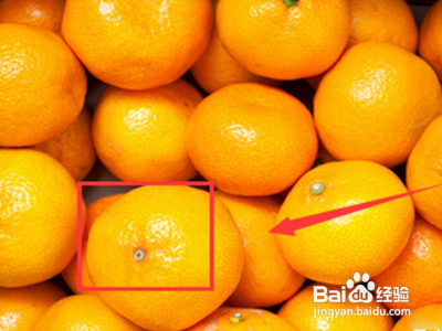 橘红色最忌配什么颜色