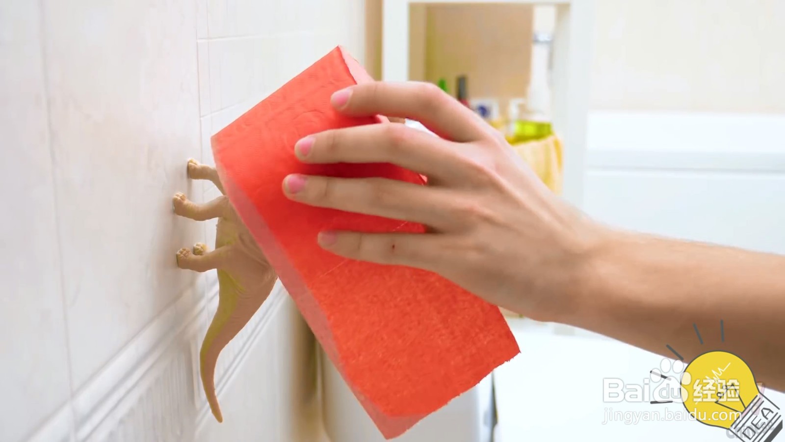 恐龙厕所挂纸，简单方便还实用