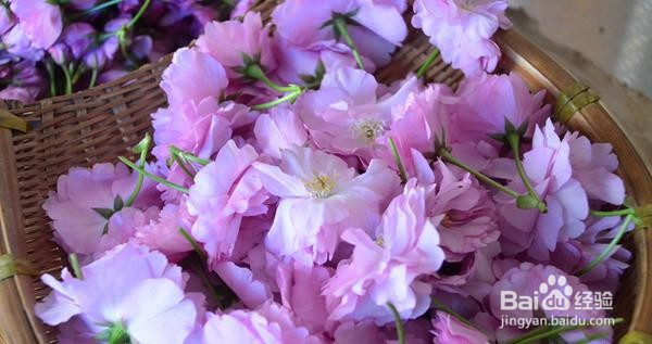 一步步做馋嘴的樱花饼