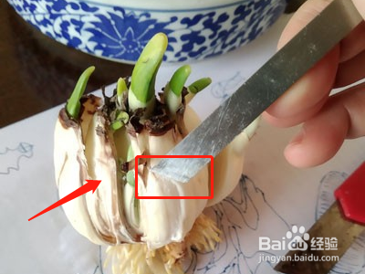 雕刻水仙花包方法图解