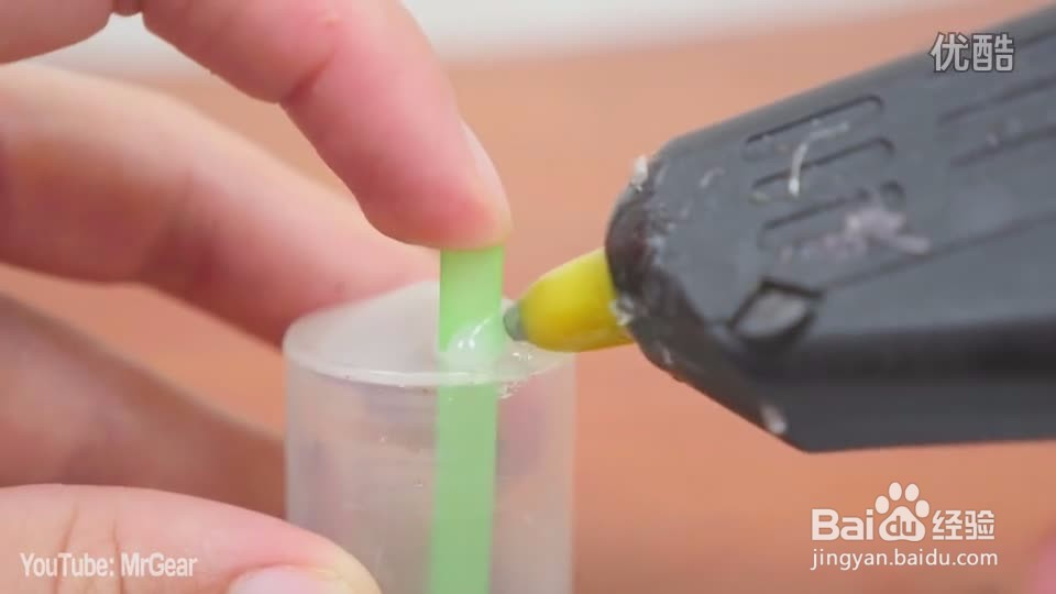 动物的发声器
