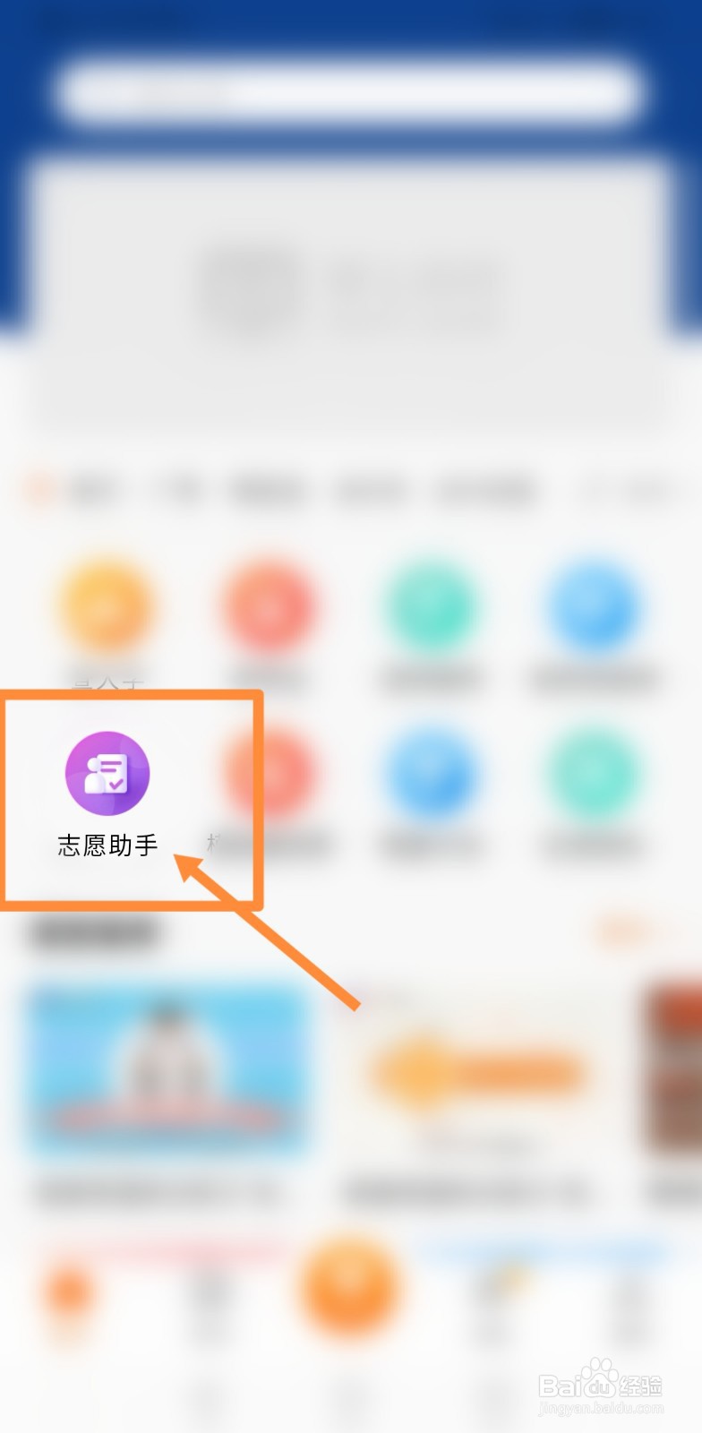 新高考填报志愿方法