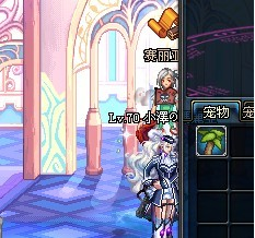 dnf树精宠物怎么拿不下来