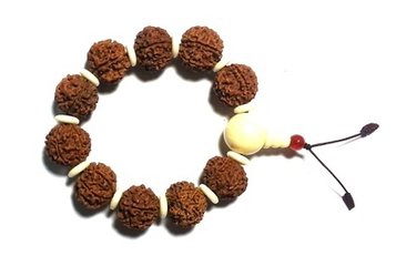 金刚菩提的盘完要点大全