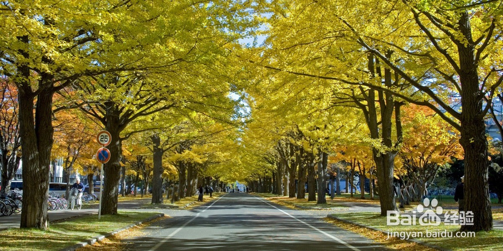 高考志愿应该怎样填报