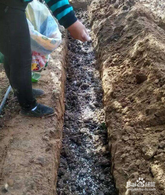 磷酸二氢钾的使用方法