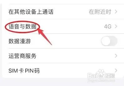 苹果13手机怎么启用5g网