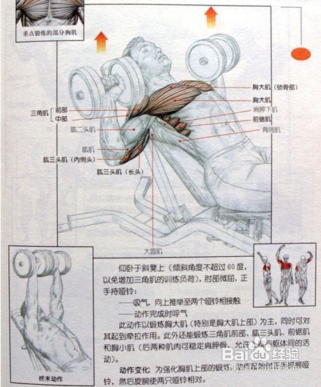男士必须收藏:男士健身方案