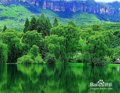 知识学习——小经验：[8]写文章小经验