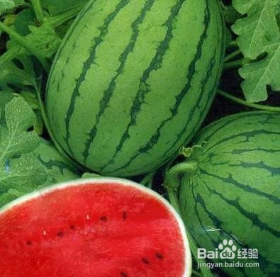 经常吃西瓜的危害