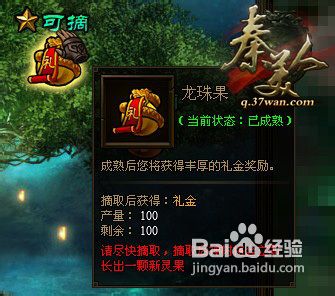 秦美人神树系统玩法介绍