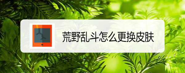 荒野乱斗怎么更换皮肤