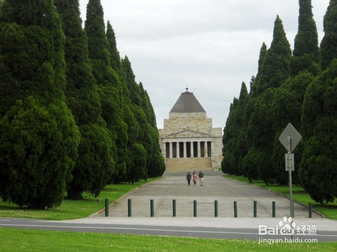 澳洲游记：[22]墨城林荫大道