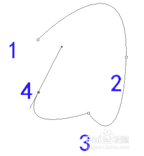 PS怎样画曲线（一）
