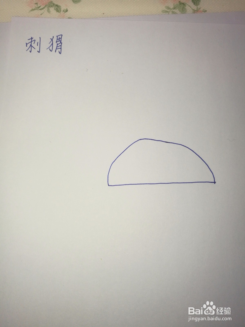 刺猬的简笔画怎么画