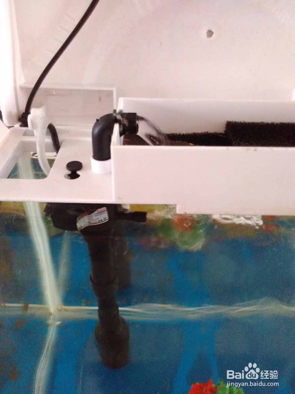 鱼缸的自动清洗方法,省时省力。