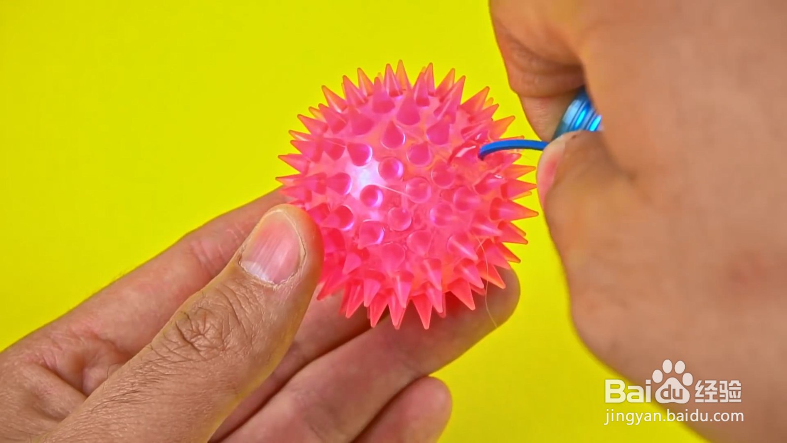 如何给小猫制作好玩的投食器？