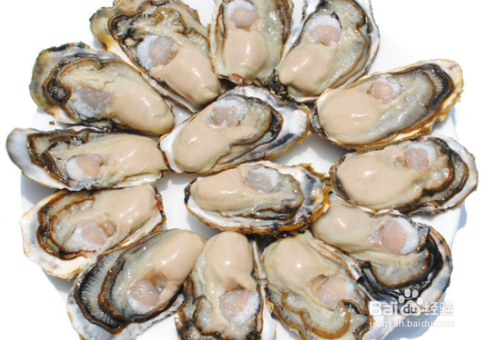 吃生蚝的好处和坏处