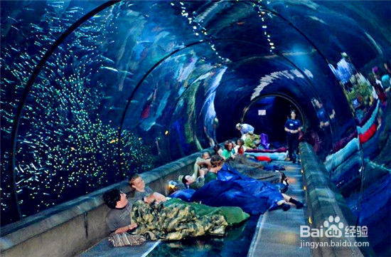 盘点世界十大最酷海底旅馆