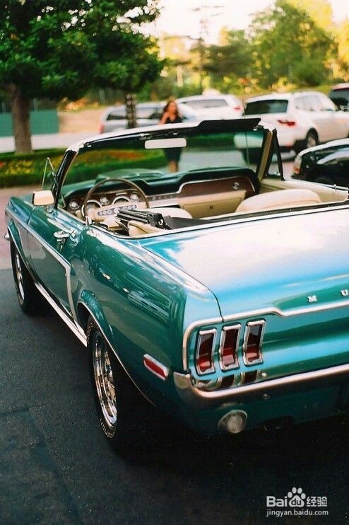 新车除味最有效方法