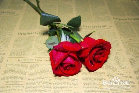 恋爱时，自己有事情要不要告诉对方？