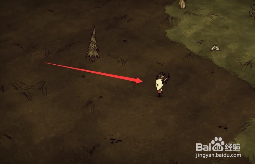 森林种子怎么获得