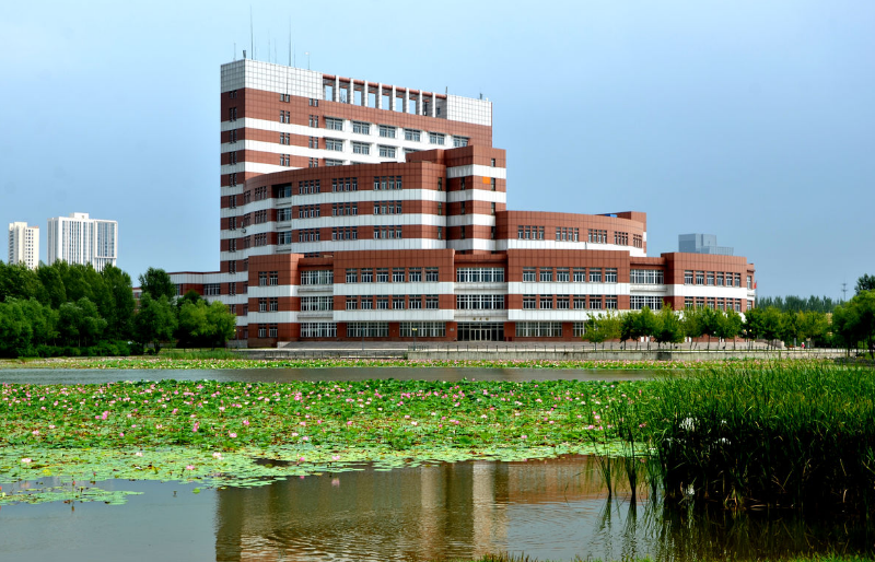 大学是怎样分类的