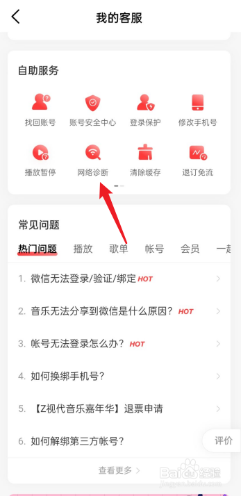 网易云音乐网络诊断在哪里看